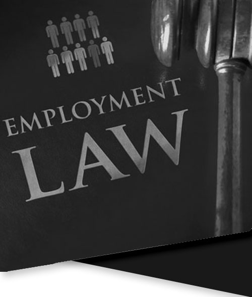employment law solicitor plymouth unfair dismissal plymouth employment disputes plymouth evans harvey employment solicitors plymouth